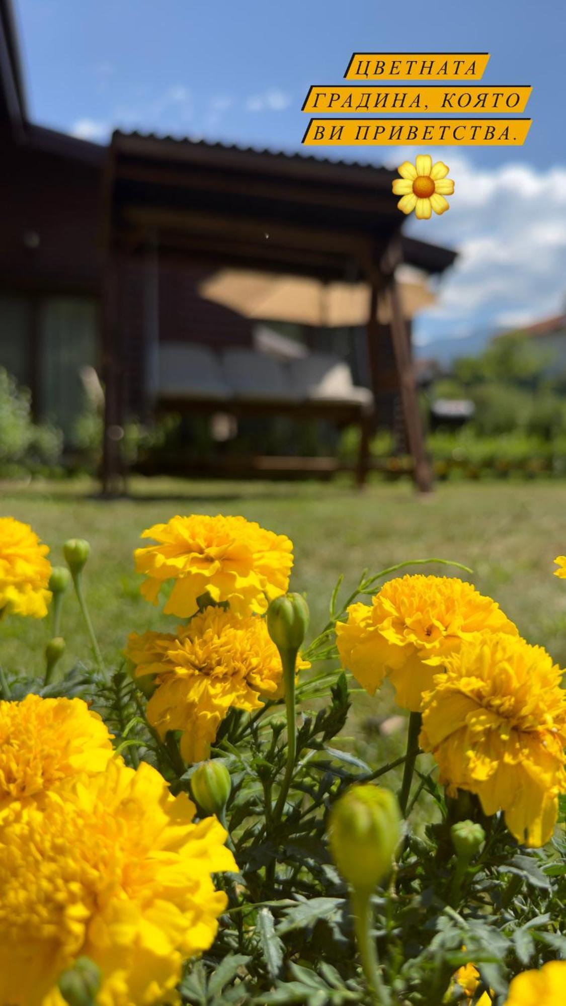 Guest House Recharge Govedartsi Exterior photo